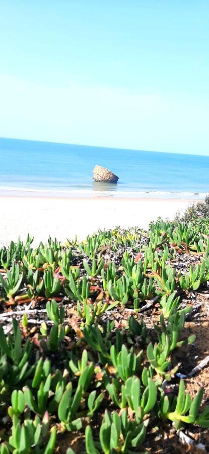 Caracola Beach Matalascañas Dış mekan fotoğraf